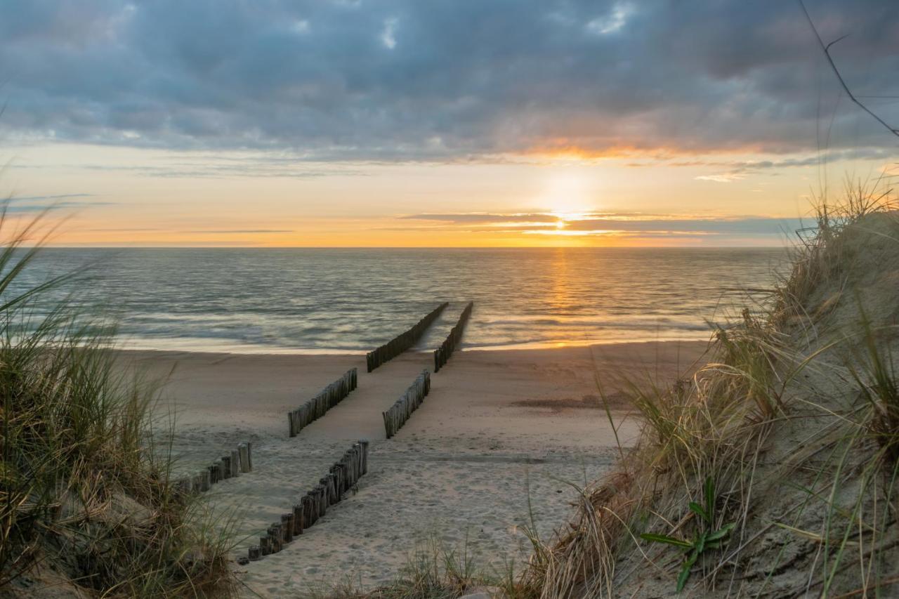 Campsite De Duinhoeve Vogel Not For Companies